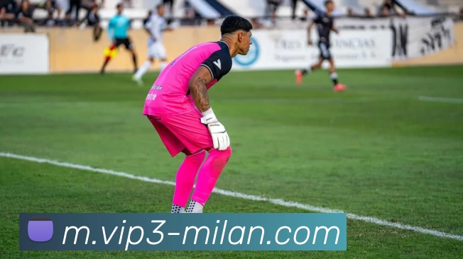 米兰体育平台生态图