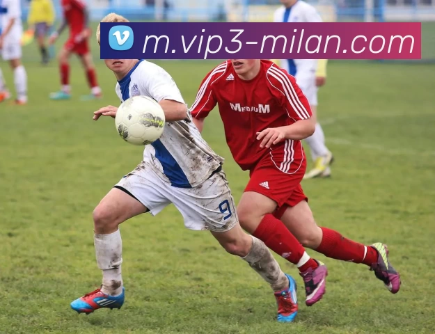 米兰体育全站App